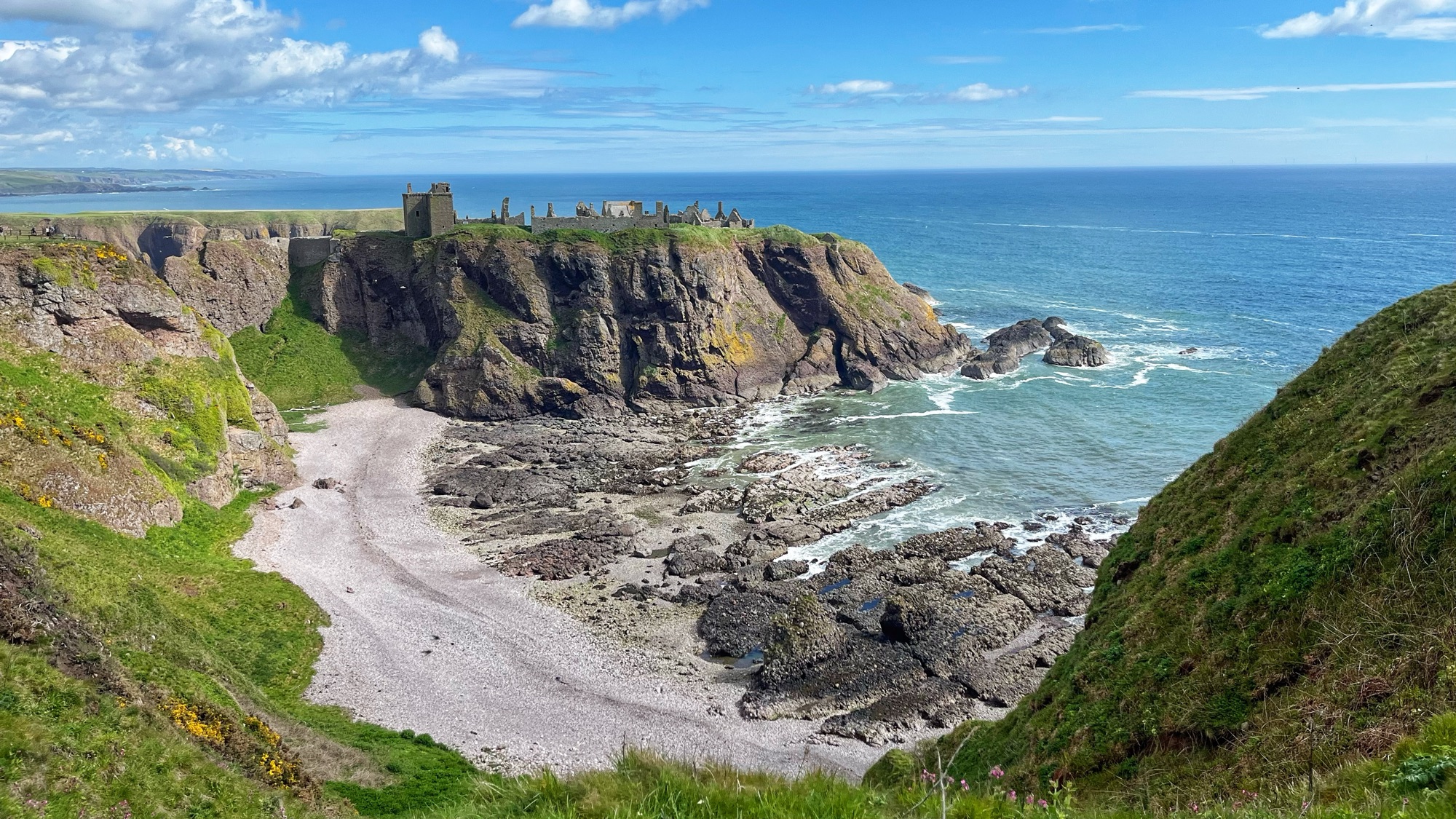 Dunnottar Castle ruins perched dramatically on a rocky clifftop headland above the North Sea, with a small sheltered pebble beach and exposed rock formations in the foreground, green grassy clifftops and yellow gorse to either side, and a blue sky with white clouds above.