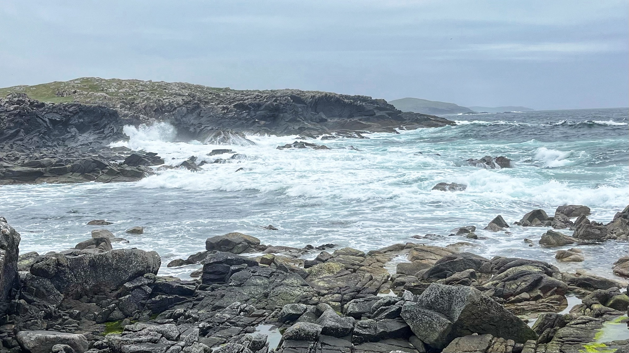 Burra: In Search of the Kraken