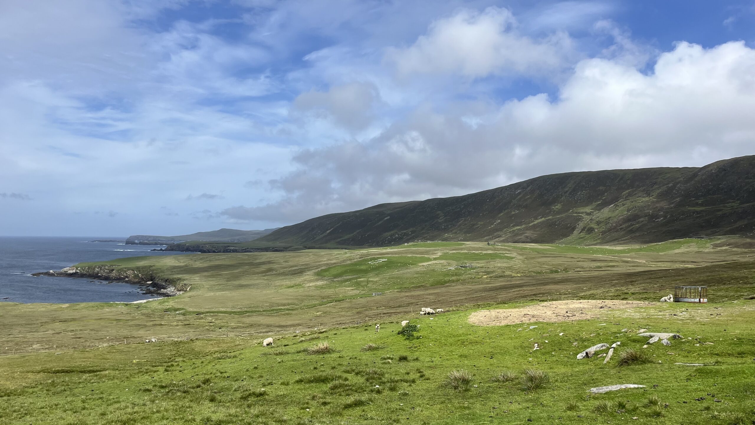 A wide view across the Vallafield platform, Unst, Shetland, looking north along the west coast. A strip of bright green and brown grassland runs between a dark, rounded ridge to the right and low sea cliffs dropping to a grey-blue Atlantic on the left. Scattered sheep graze across the middle ground. In the midground, several ruins mark the remains of abandoned croft buildings. A metal livestock feeder visible to the right foreground. The sky is broad and active, with heavy white clouds moving over the hill.