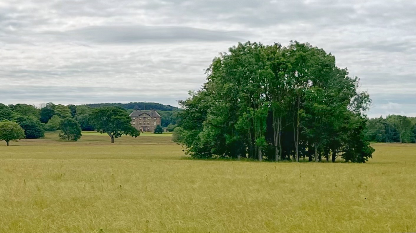 A wide meadow of long pale-gold grass stretches across the foreground under a heavy grey sky. To the right, a tight cluster of tall mature trees rises from the grassland. In the middle distance, partially screened by scattered parkland trees, stands a solid Georgian stone manor house. A dark ridge of woodland runs along the horizon behind it. The whole scene is quiet, flat, and very English.