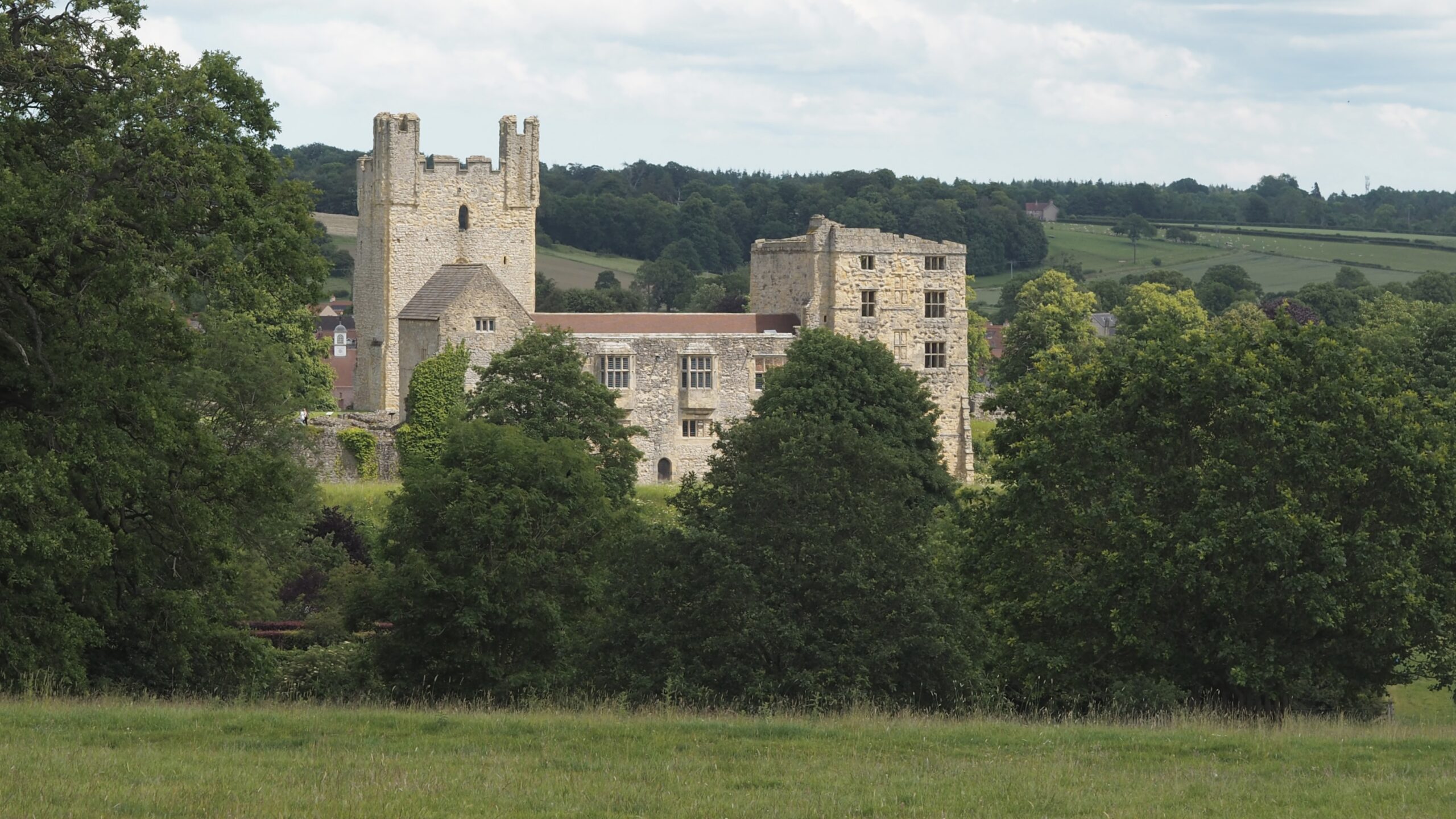 Helmsley Castle’s ruined keep and stone ranges rise above a screen of mature trees, seen across a grassy field. The square tower, missing its roof, still carries jagged battlements against a pale, cloudy sky, with rolling green hills and farmland stretching behind.