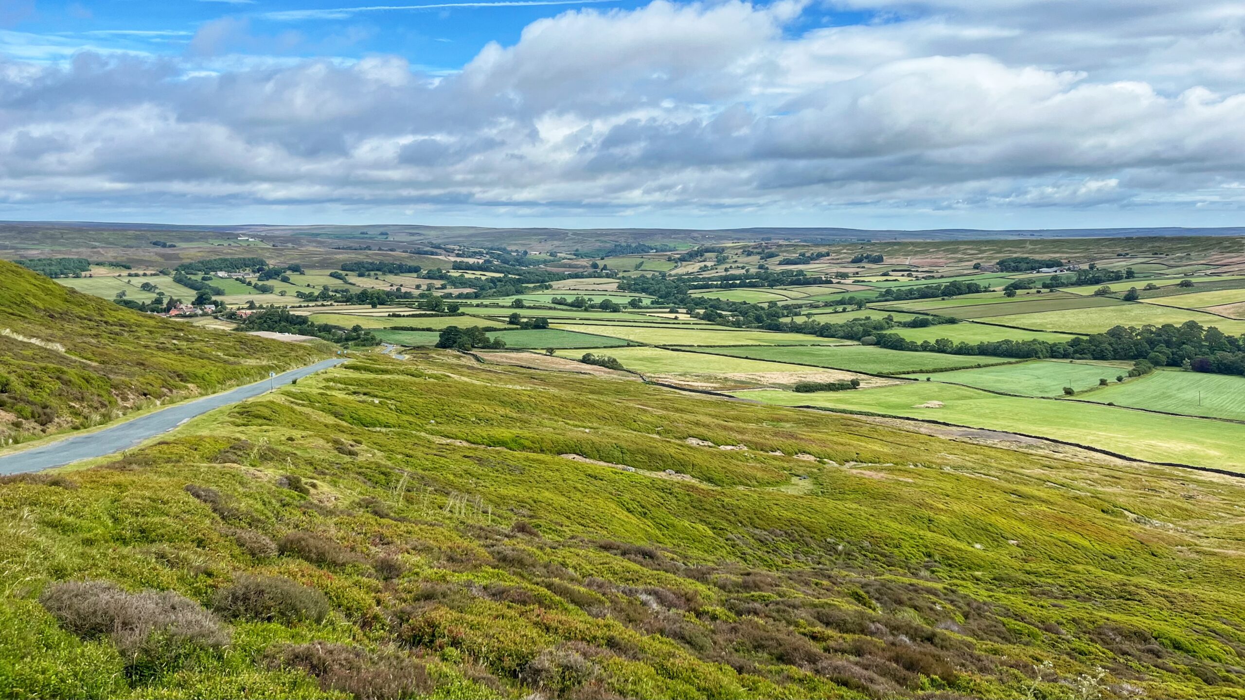 Heather-covered hillside falls away to a single-track road winding down into a wide green valley. Below, a patchwork of stone-walled fields spreads out towards distant moorland, with a small cluster of farm buildings and trees on the left marking Westerdale village itself. Grey clouds hang overhead, doing what Yorkshire skies do best, threatening rain without ever quite getting round to it.