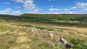 This photograph captures a section of the ruined Bronze Age orthostatic wall on Scarth Wood Moor. In the foreground, a line of large, weathered grey boulders and upright stones (orthostats) stretches across a grassy, yellow-toned landscape. Some stones stand upright as originally intended, while others have fallen or become partially embedded in the soil. The background features the rolling, undulating skyline of the Cleveland Hills, with slopes covered in a mix of green grass and purple heather. To the right, the land dips into a valley where a distant road and the Sheepwash car park are visible near the wooded area surrounding Cod Beck Reservoir. The scene is set under a bright blue sky filled with scattered white clouds.