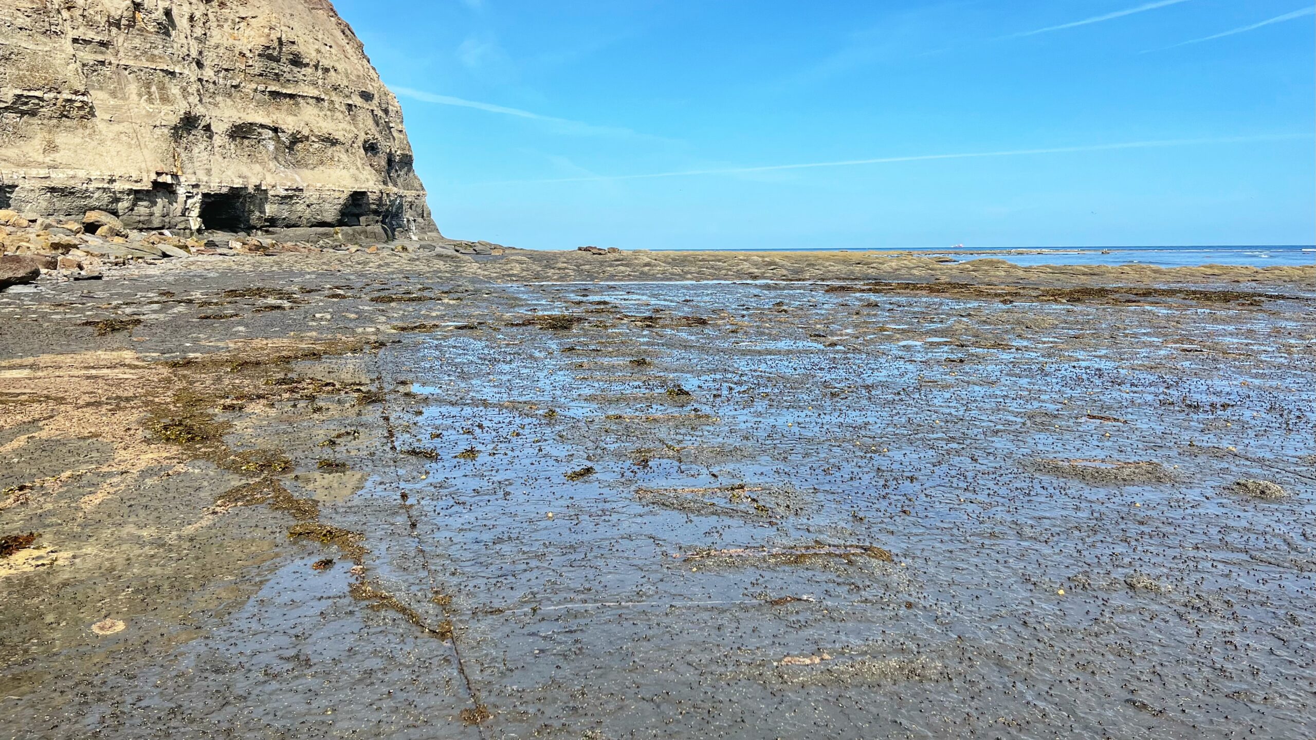 A tidal rock platform, the scar, stretches across the foreground towards a sandstone cliff on the horizon. Cut into the rock is a line of parallel slots, once used to hold the sleepers of a narrow gauge tramway, running around the base of the cliff. The surface is wet and pitted with small pools, and the cliff face above shows horizontal banding from centuries of weathering.