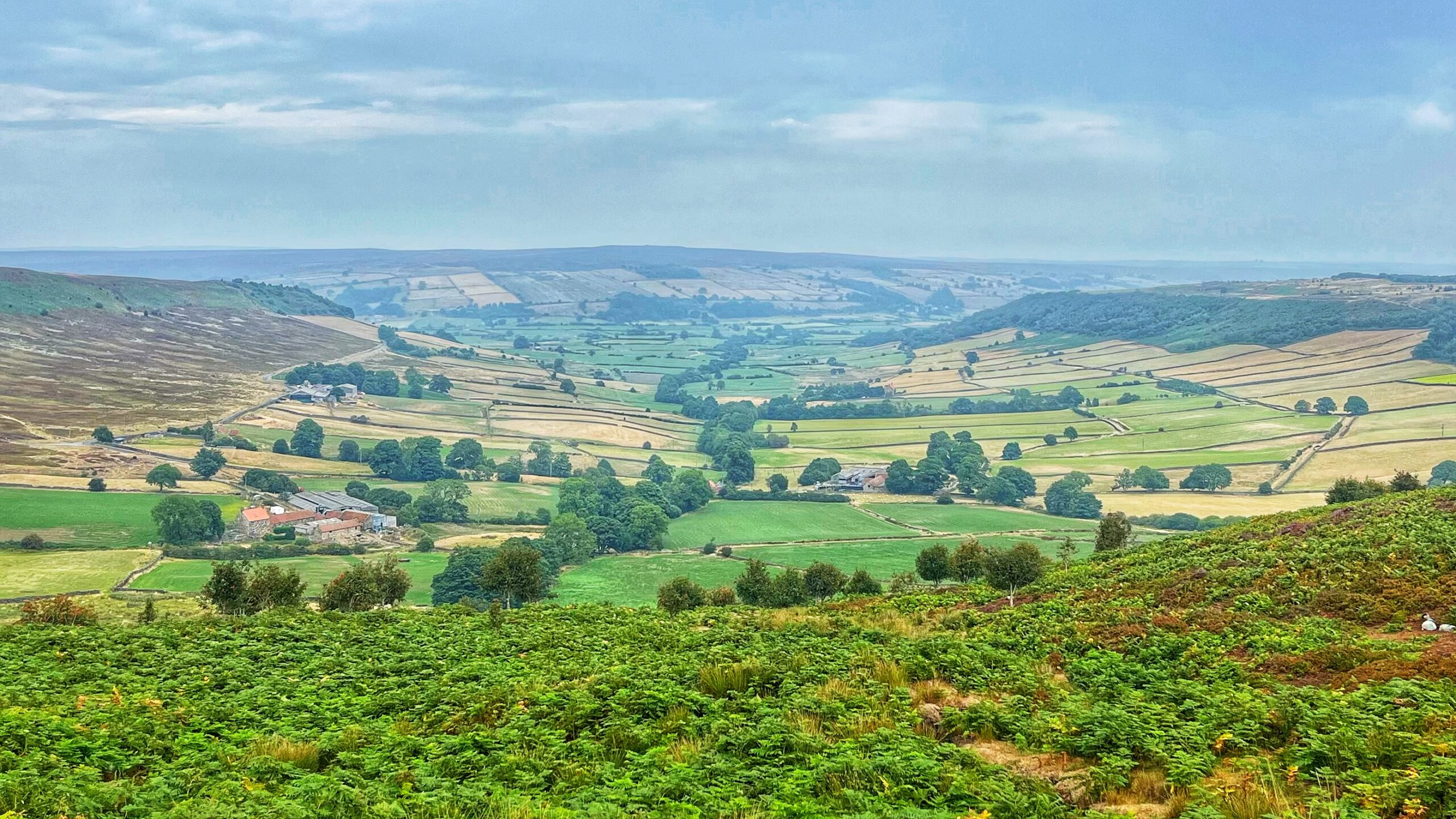 A wide dale in the North York Moors, seen from a bracken-covered hillside. Below, a patchwork of green and gold fields is divided by drystone walls and hedgerows, with clusters of trees and two stone farmsteads with red roofs set among them. The valley rises again on the far side into moorland, and the sky above is pale blue with a wash of grey cloud.