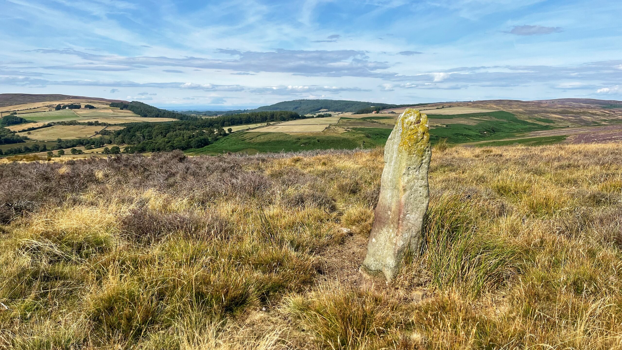 Bronze Age Guesswork on Wayworth Moor