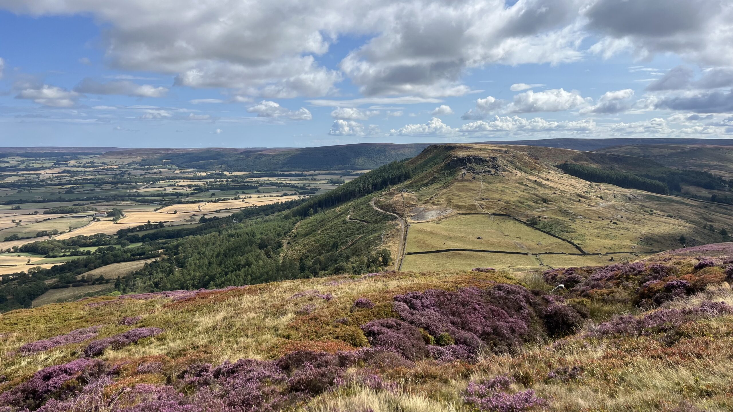 A high-angle landscape photograph of Garfit Gap and The Wainstones in the North York Moors. In the foreground, vibrant purple heather and golden grasses cover a steep moorland slope. The midground is dominated by the prominent, flat-topped ridge of White Hill, with the jagged sandstone pillars and columns of The Wainstones capping its western end. A natural mountain pass, Garfit Gap, separates the viewpoint from the main hill, with winding footpaths visible on the grassy slopes. In the far background, the wide, fertile lowlands of the Vale of Cleveland stretch toward the horizon in a patchwork of green and yellow fields under a blue sky with scattered white clouds.