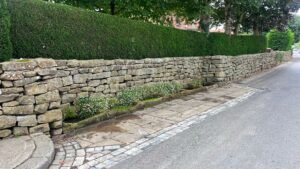 A dry stone wall runs beside a village road, topped by a tall clipped hedge. Set into the base of the wall is a row of sunken sandstone troughs, part of the Moorsholm Docks, filled with moss and small white flowers. A pale collared dove stands on the paved path in front of them.
