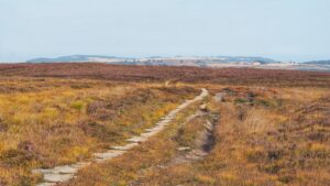 A stone slab path winds through open moorland, flanked by rust-coloured grasses and patches of purple heather. The ground rises gently towards a low horizon, beyond which lie hazy fields, wind turbines and distant hills under a pale, overcast sky.