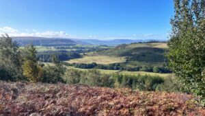 A wide view over Kildale valley from a bracken-covered hillside, with green fields and woodland running along the valley floor, hazy moorland hills stretching to the horizon under a mostly clear blue sky, and trees framing the foreground on both sides.