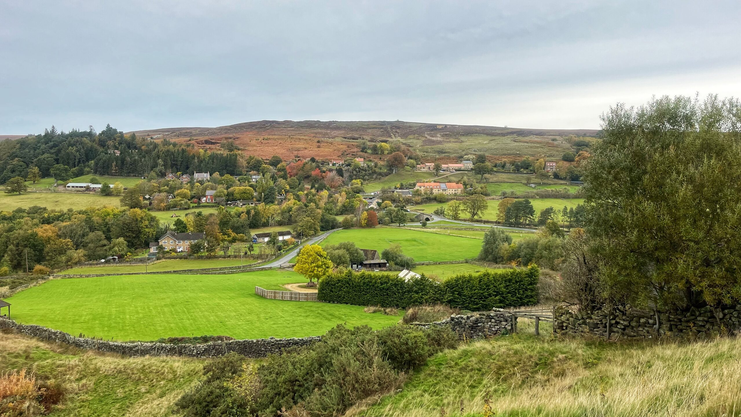 Colour photograph looking north-northeast across the Esk valley at Castleton on an overcast autumn day. Bright green pasture in the foreground is bounded by drystone walls and a dark hedge. Houses are scattered through a valley dense with trees in green, yellow, orange and red. A conifer plantation covers the hillside on the left. Bow Bridge and the road are right of centre. Rust-coloured bracken and moorland rise to the skyline.