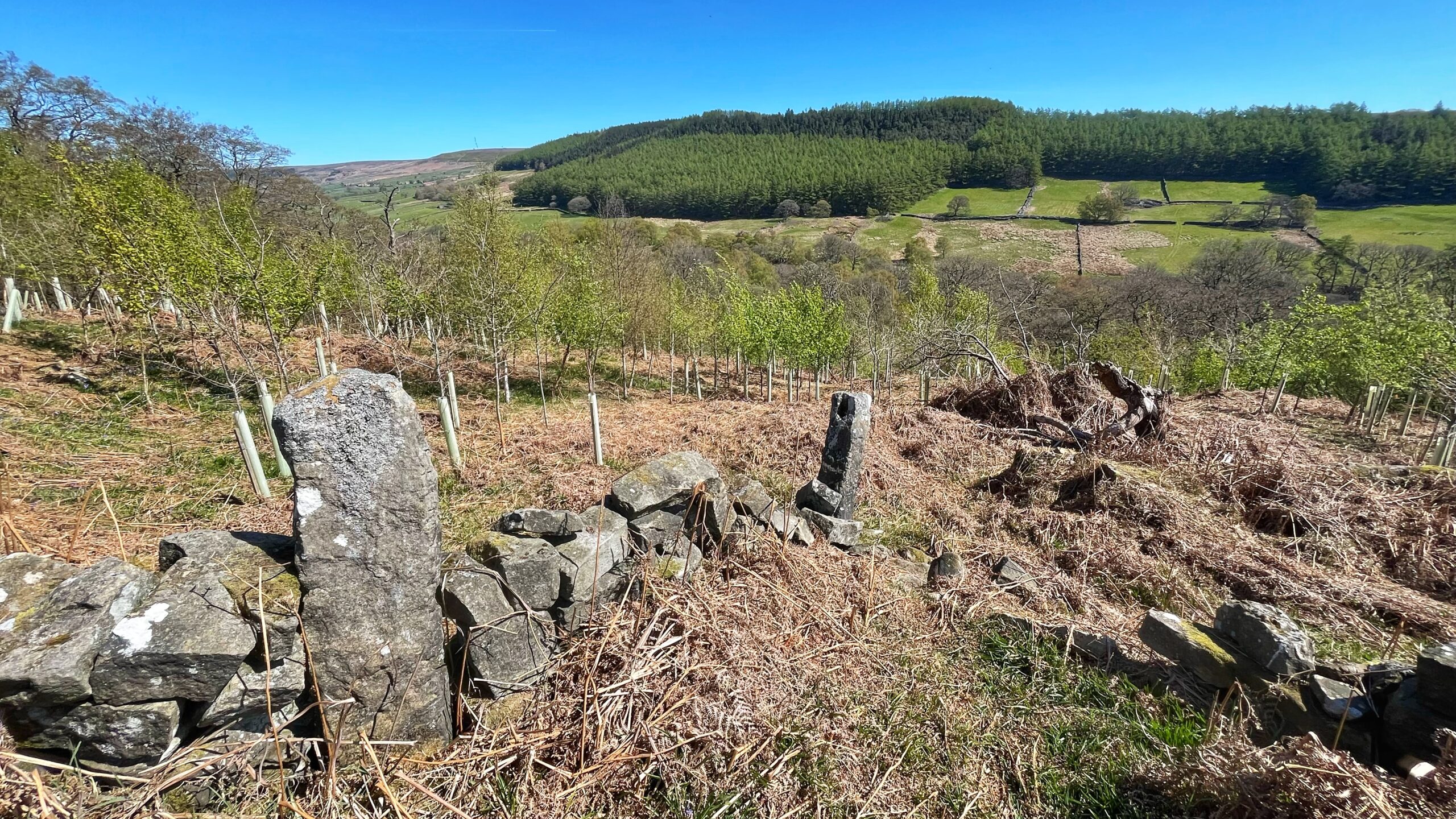 A New Corner of Bransdale