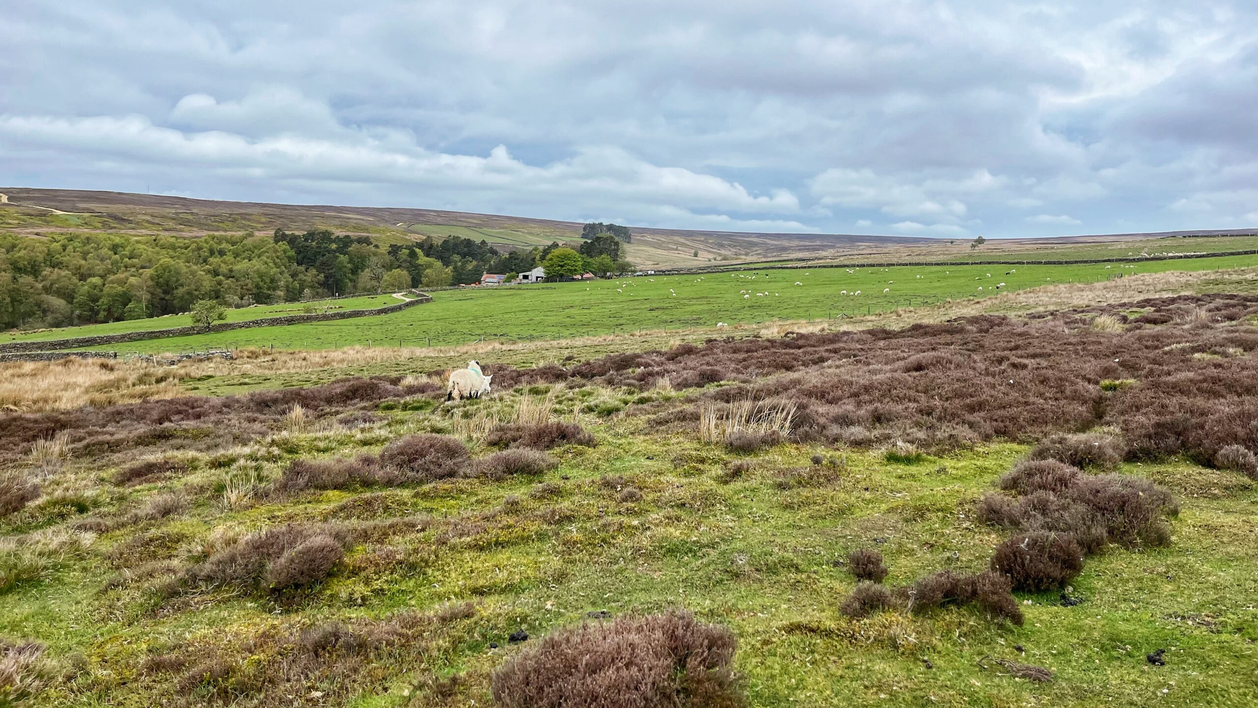 Bonfield Ghyll