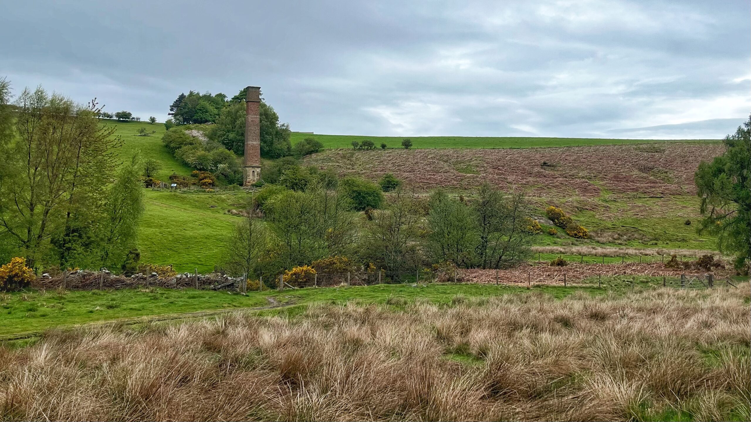 Echoes in the Vale: The Ghostly Rise and Fall of Leven Vale Cottages