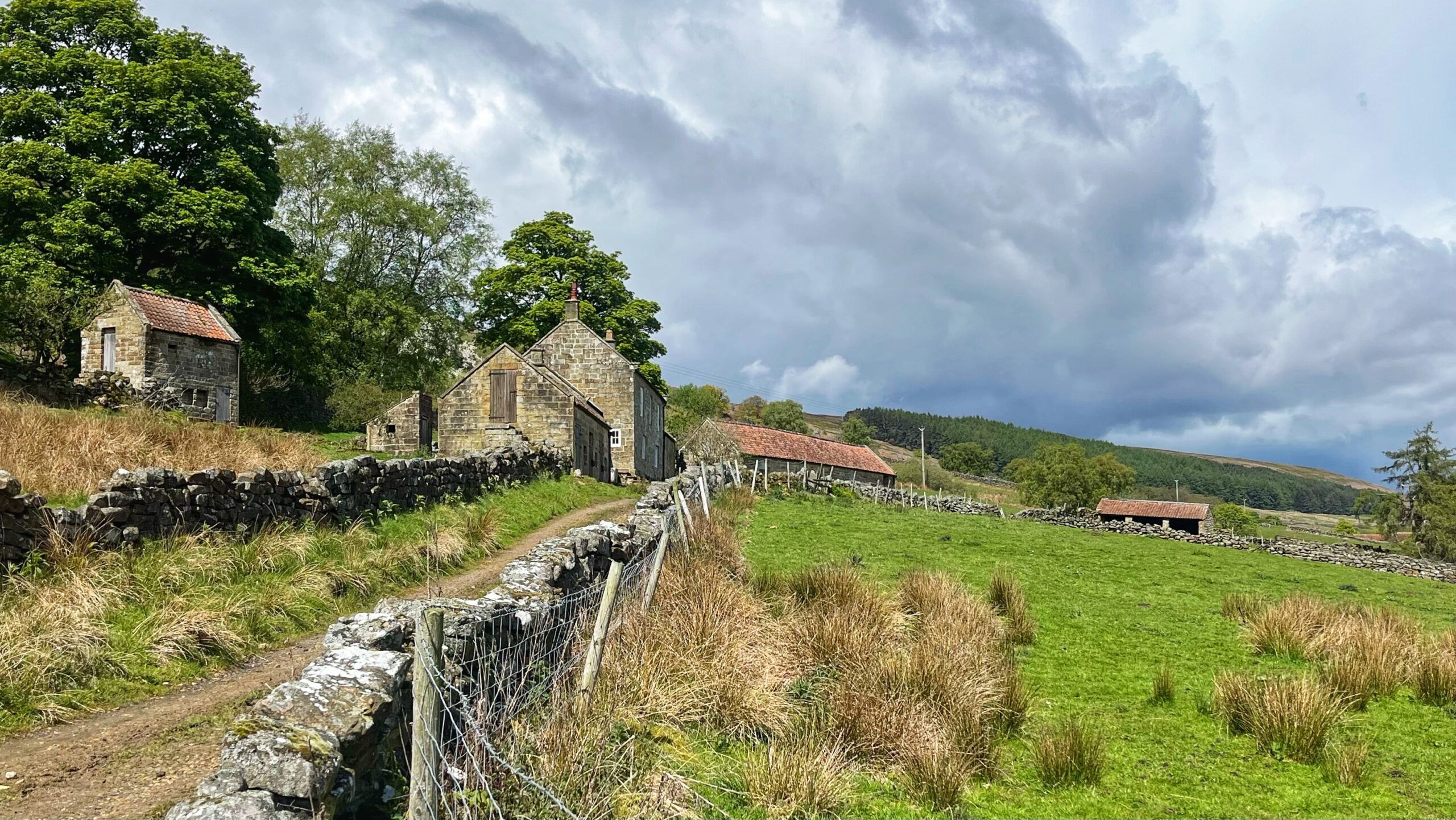 A wide-angle view of the Elm Houses farm complex in Bransdale, featuring several traditional sandstone buildings* with red pantile roofs. A dirt track, bordered by a dry stone wall and wire fencing, winds through a grassy, hilly pasture toward the buildings . According to the sources, the buildings identified from left to right are: * A two-storey granary and pigsty. * A small privy. * A range comprising pigsties, the Low Elm House farmhouse, and a former cart shed. * The long, prominent range of High Elm House further up the slope. * A solitary shelter shed standing in the field to the far right. The complex is situated at the foot of steeply rising ground, characteristic of the moorland pastoral landscape, under a dramatic, overcast sky.