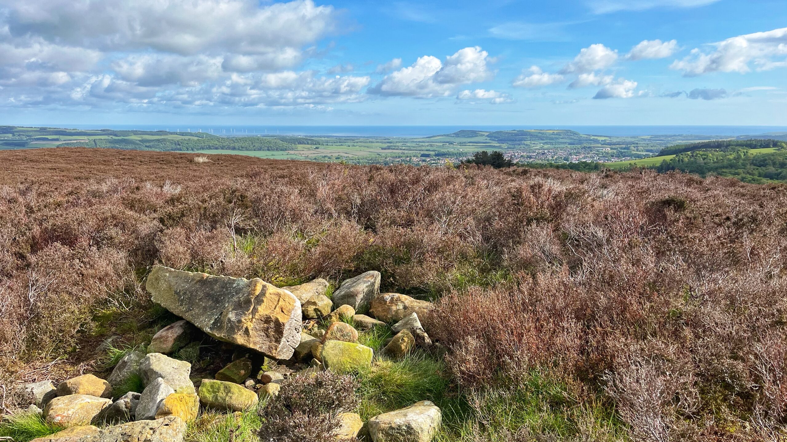 A Morning on Newton Moor