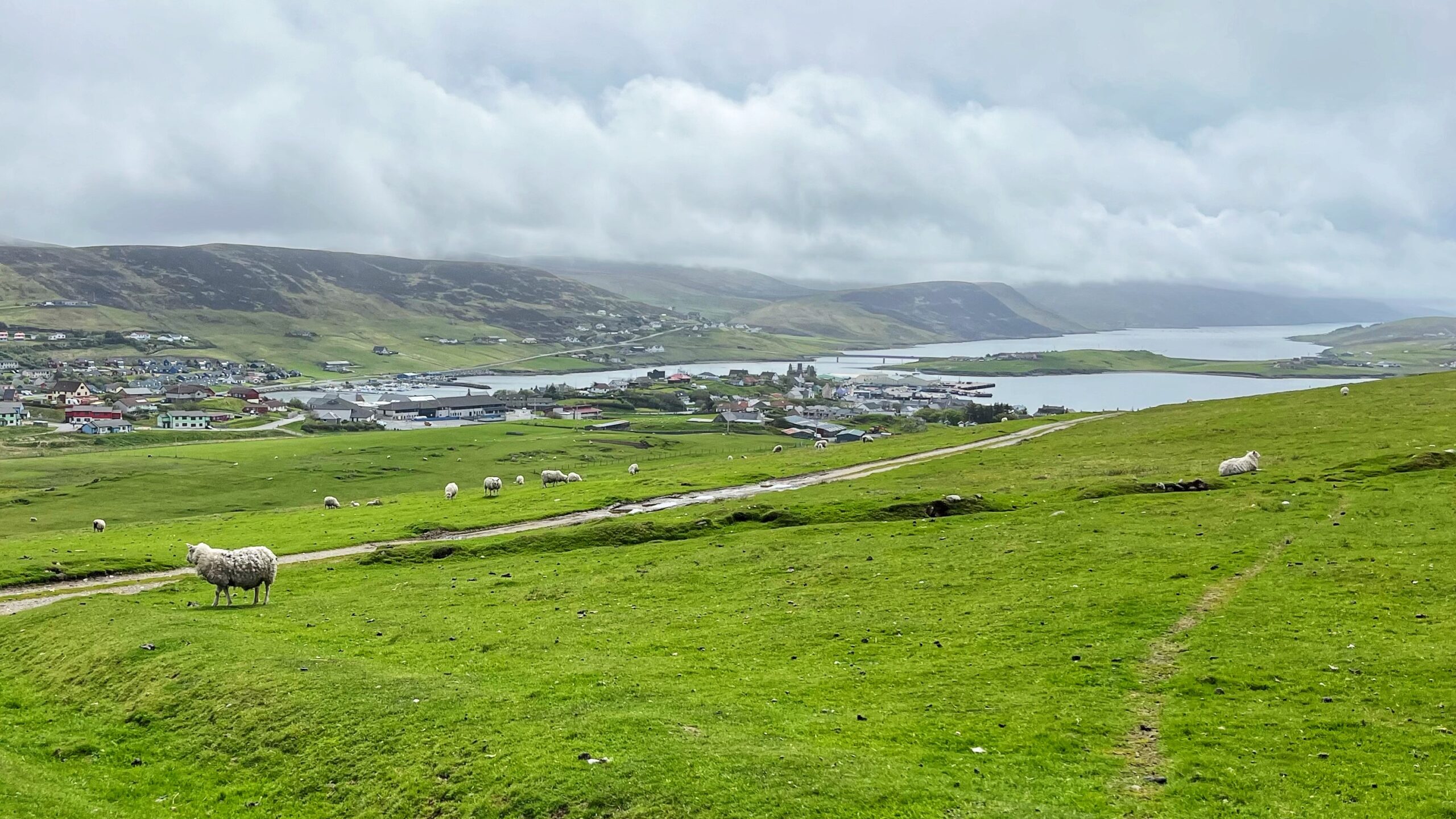 Shadows over Scalloway: The Fateful Tale o’ Marion Pardone