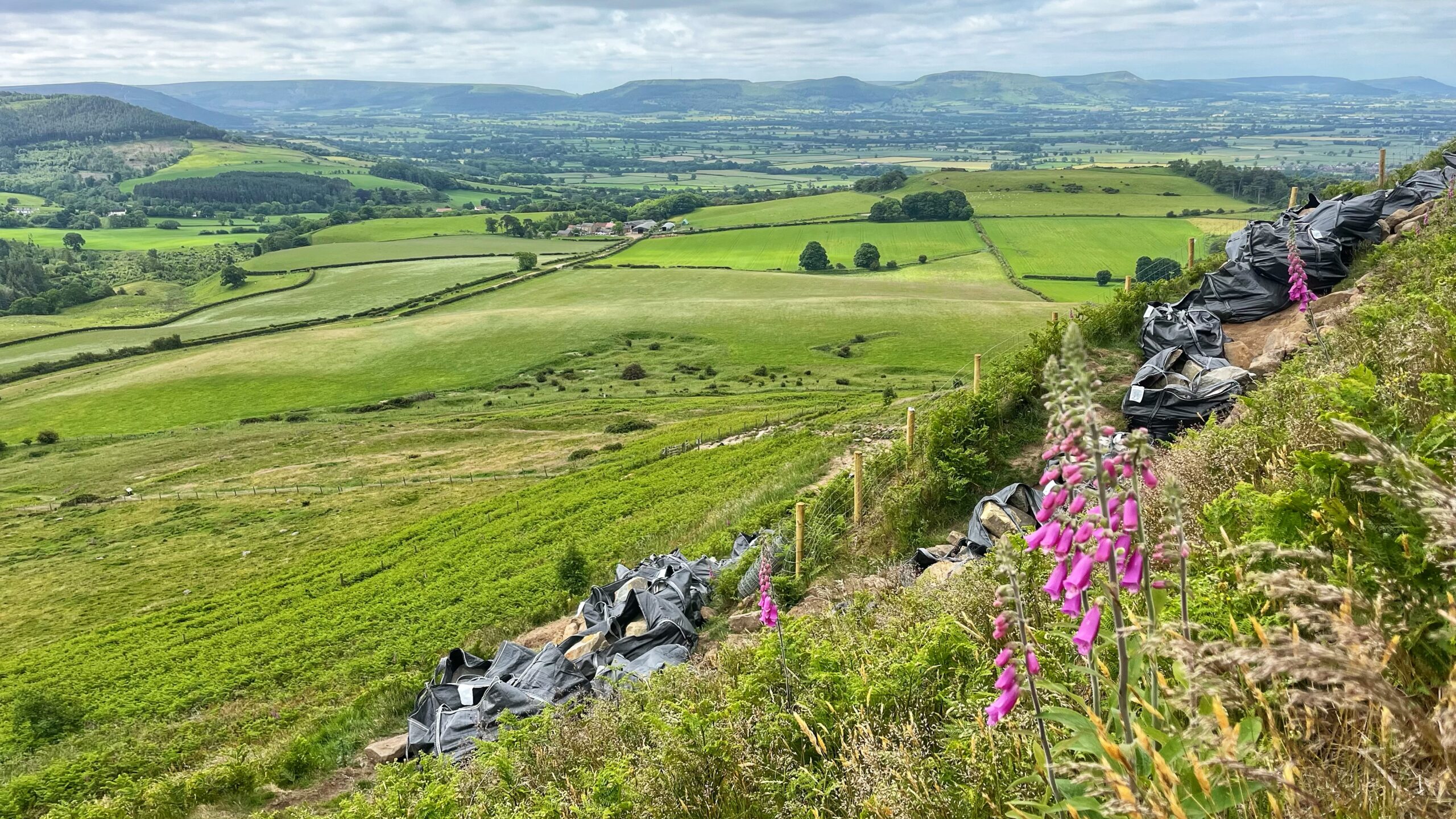Phase 2 of Roseberry’s Facelift Begins