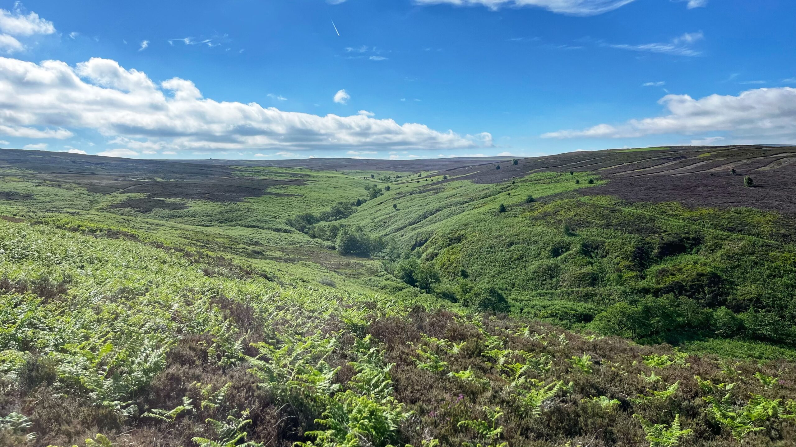Crabdale Beck: The Vanishing of G834