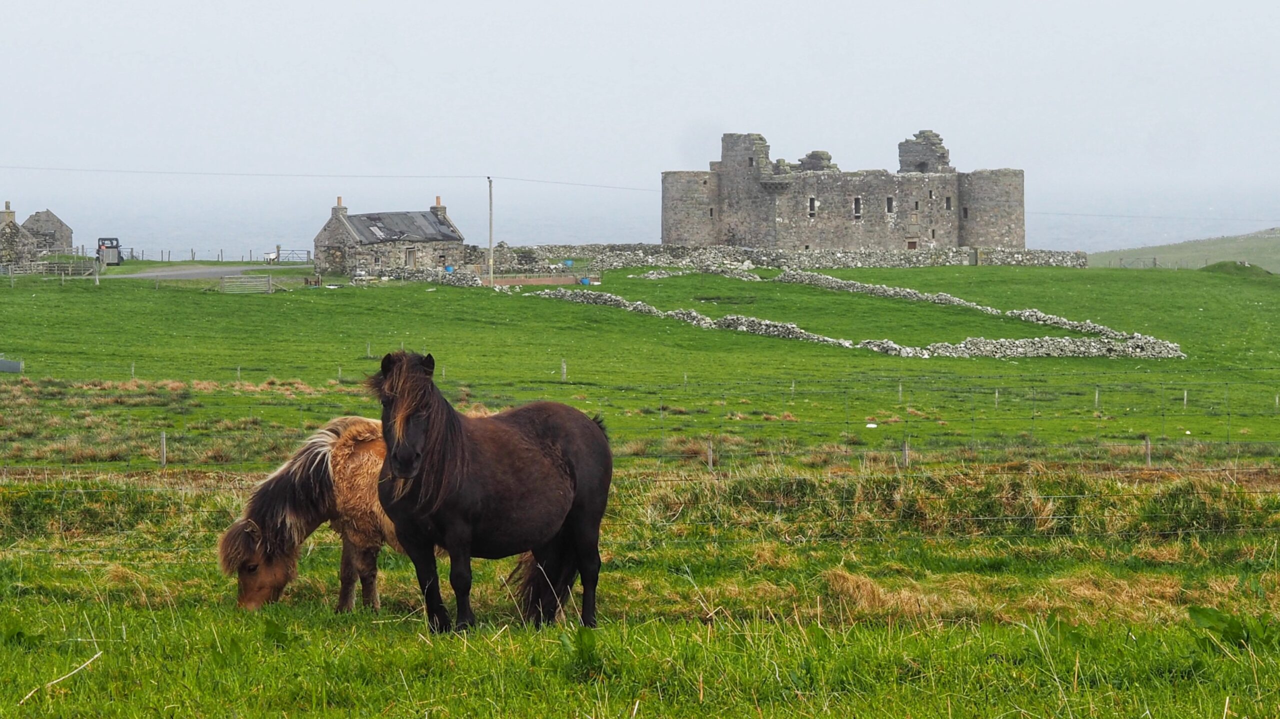 Muness Castle: Power, Corruption and Impunity. Sound Familiar?