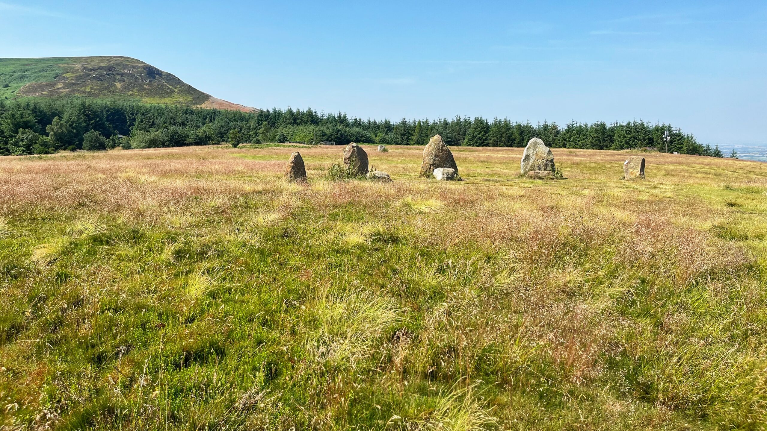 The 14-Year-Old Standing Stones