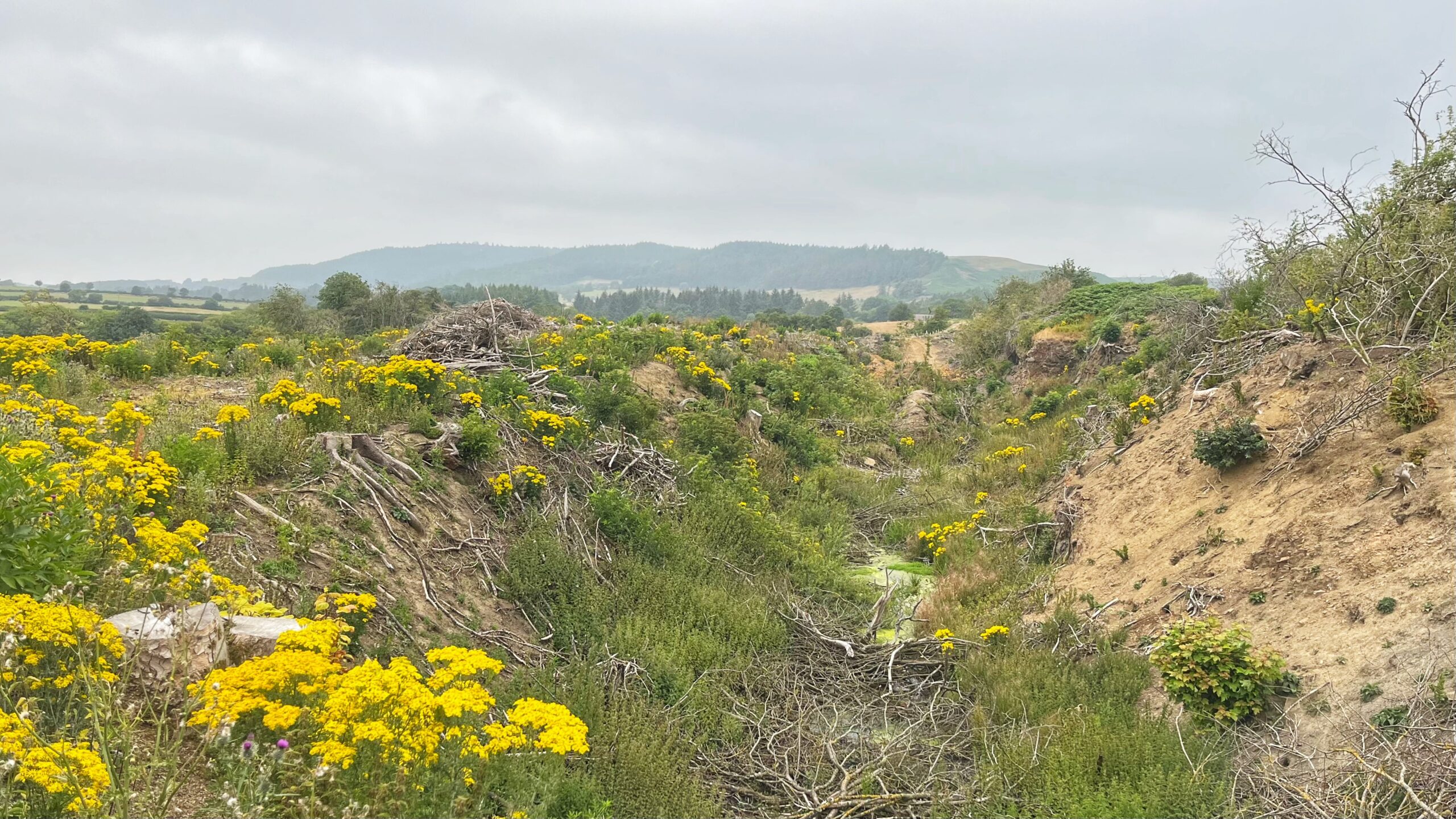 Petlar’s Bridge Quarry: A Brief Flirtation with Industry