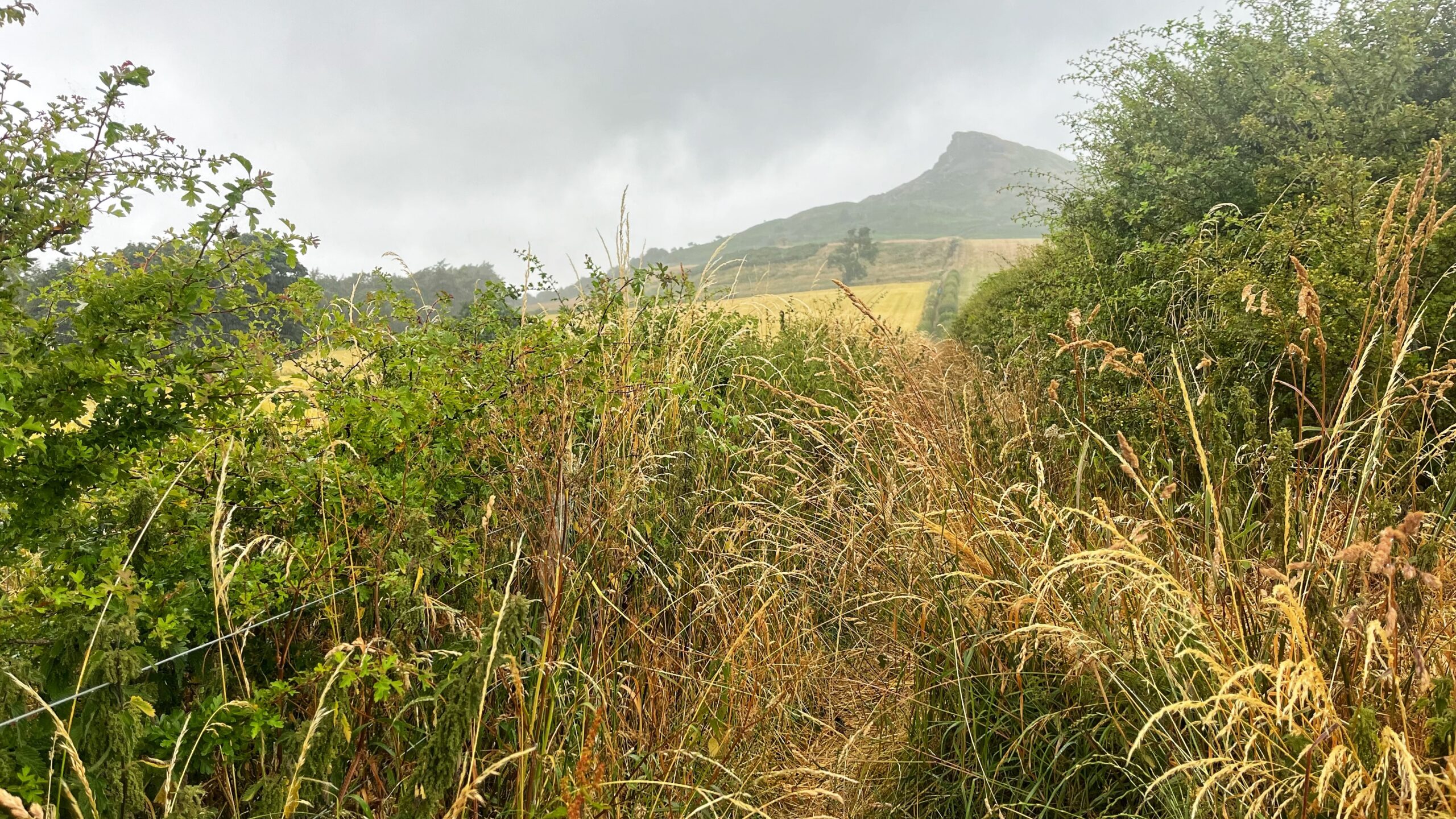 The Squeeze: Roseberry Topping’s Disappearing Footpath
