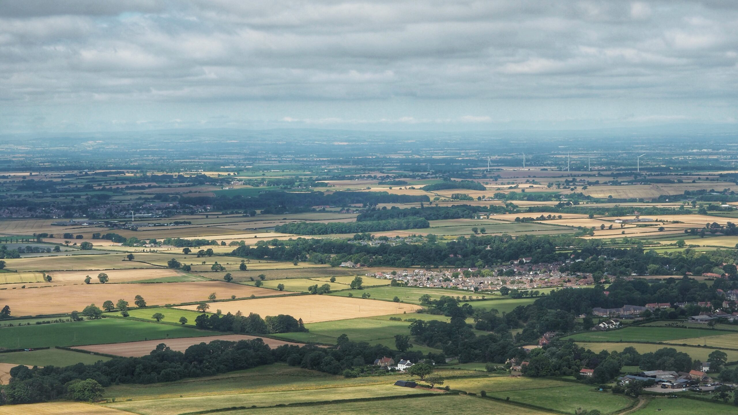 Easby Lane Housing Development: Uncovering the Anomalies