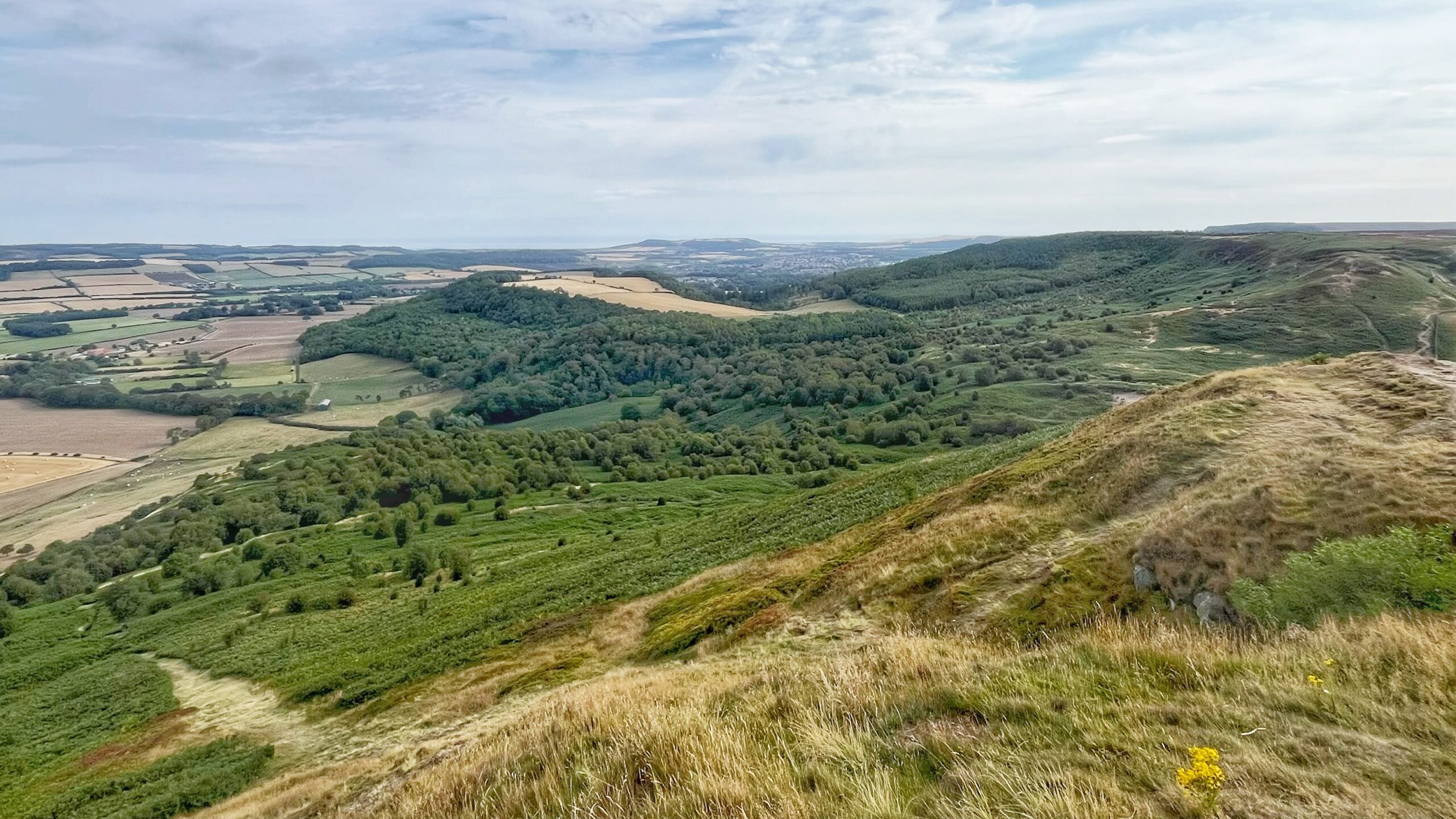 A Ghost Path up Roseberry
