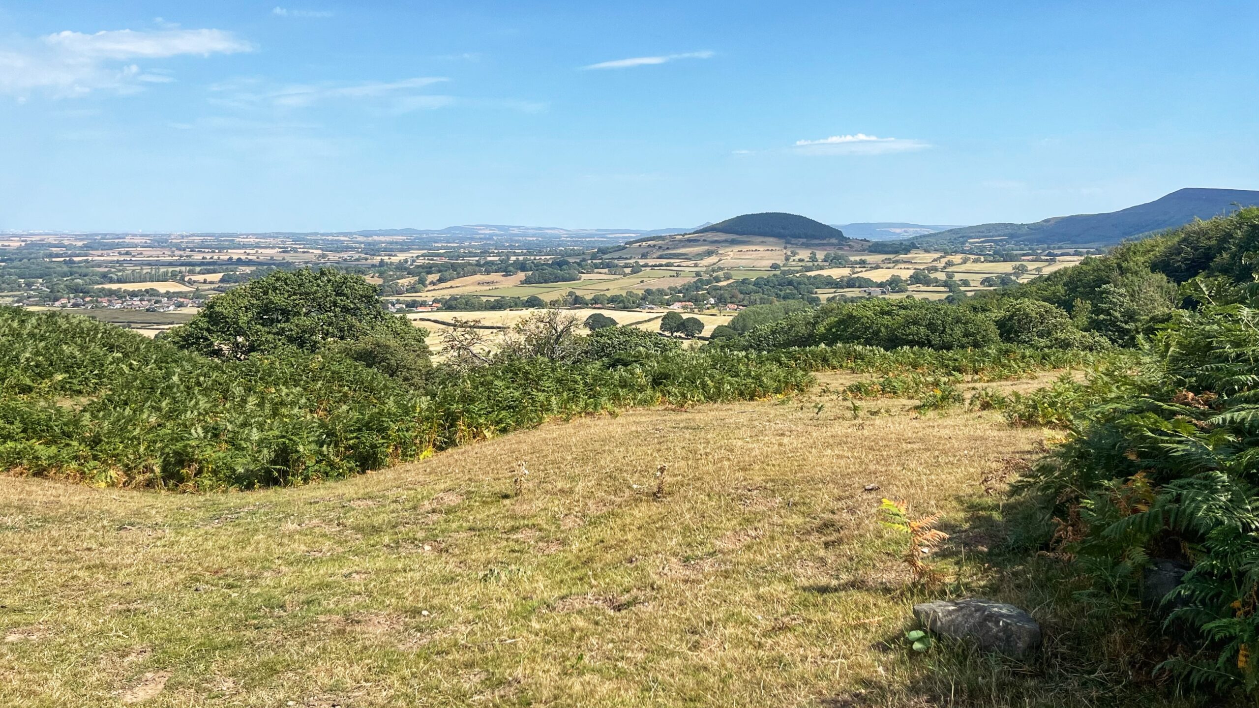 Whorl Hill and its Buried Treasure