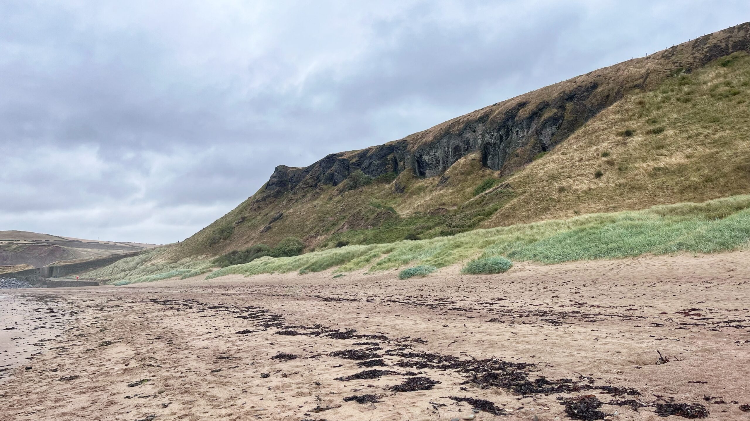 Cattersty Cliffs, Not Quite Jurassic