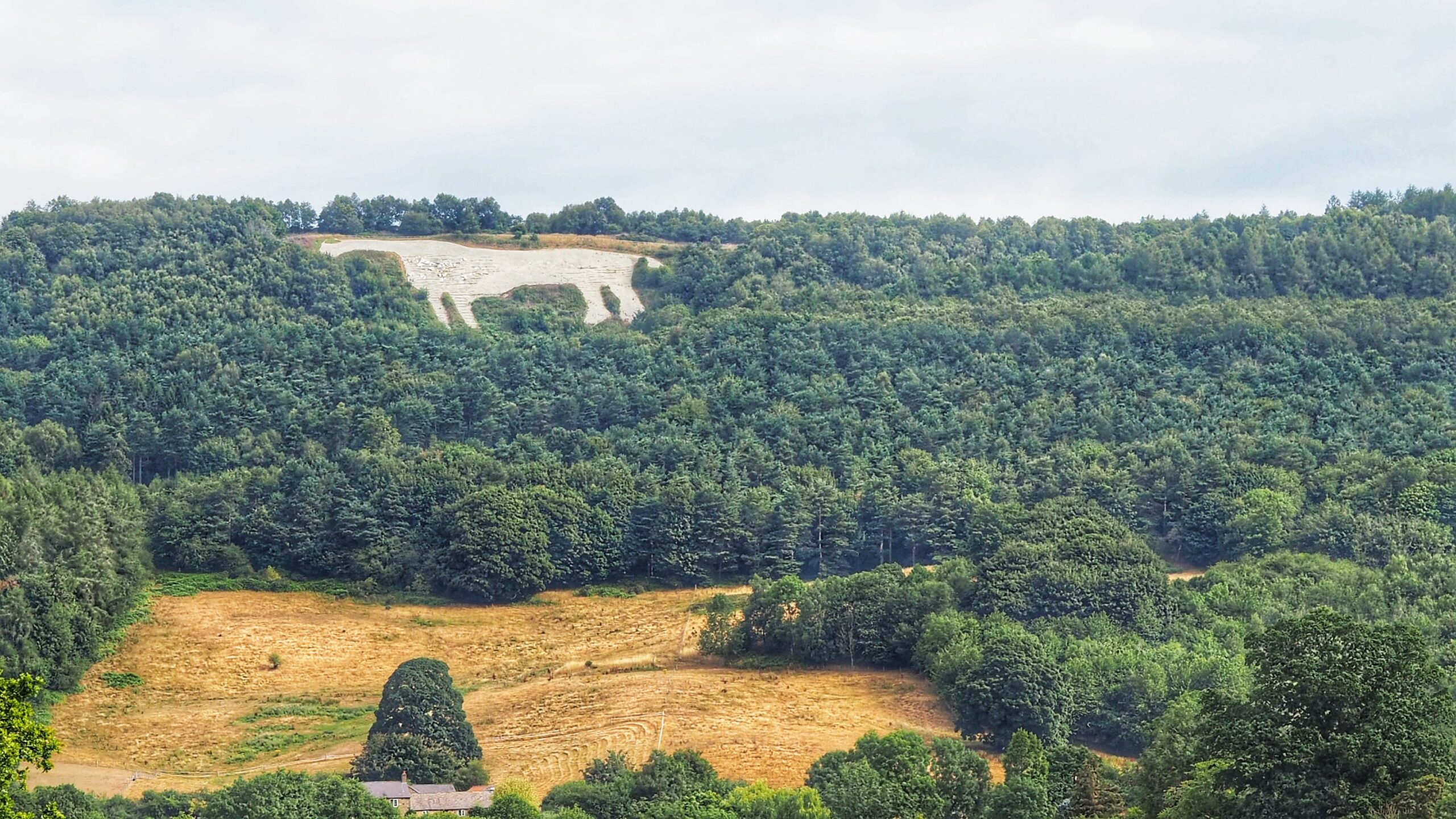 Kilburn’s White Horse