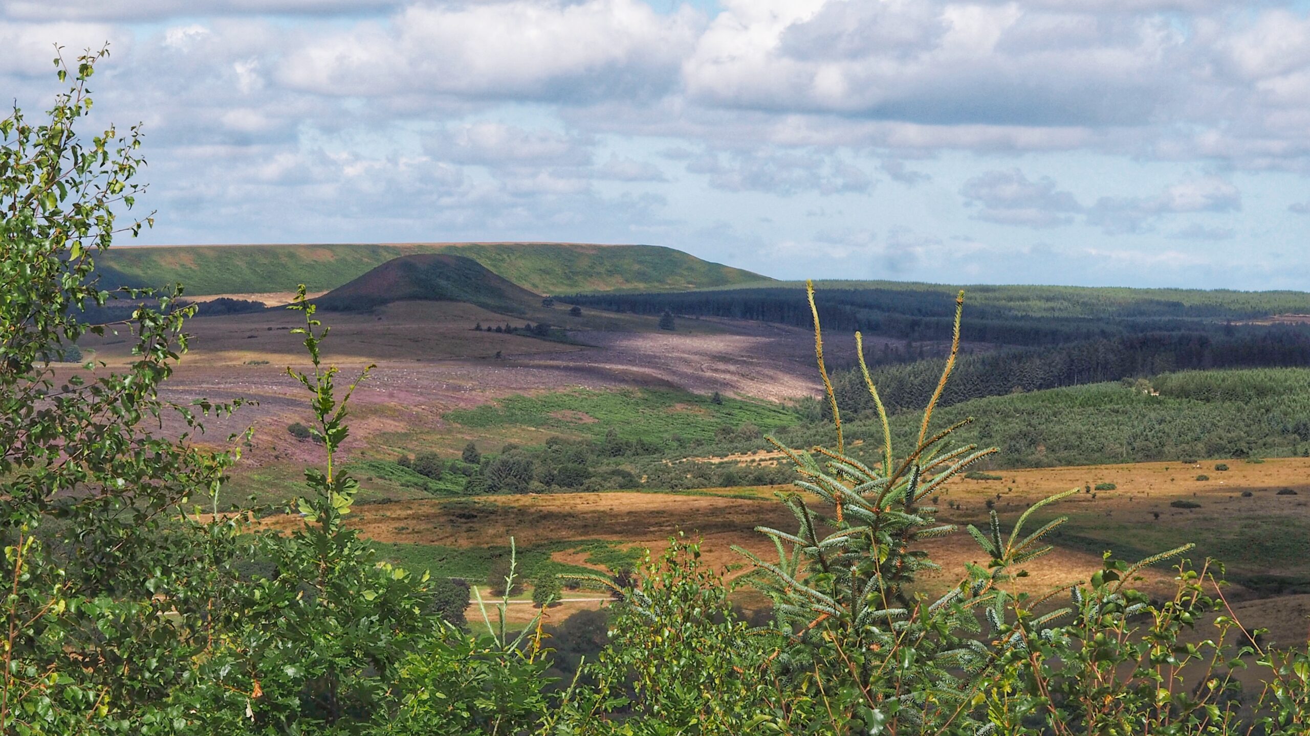 Crosscliffe: The Prince, the Pellet, and the Pitch
