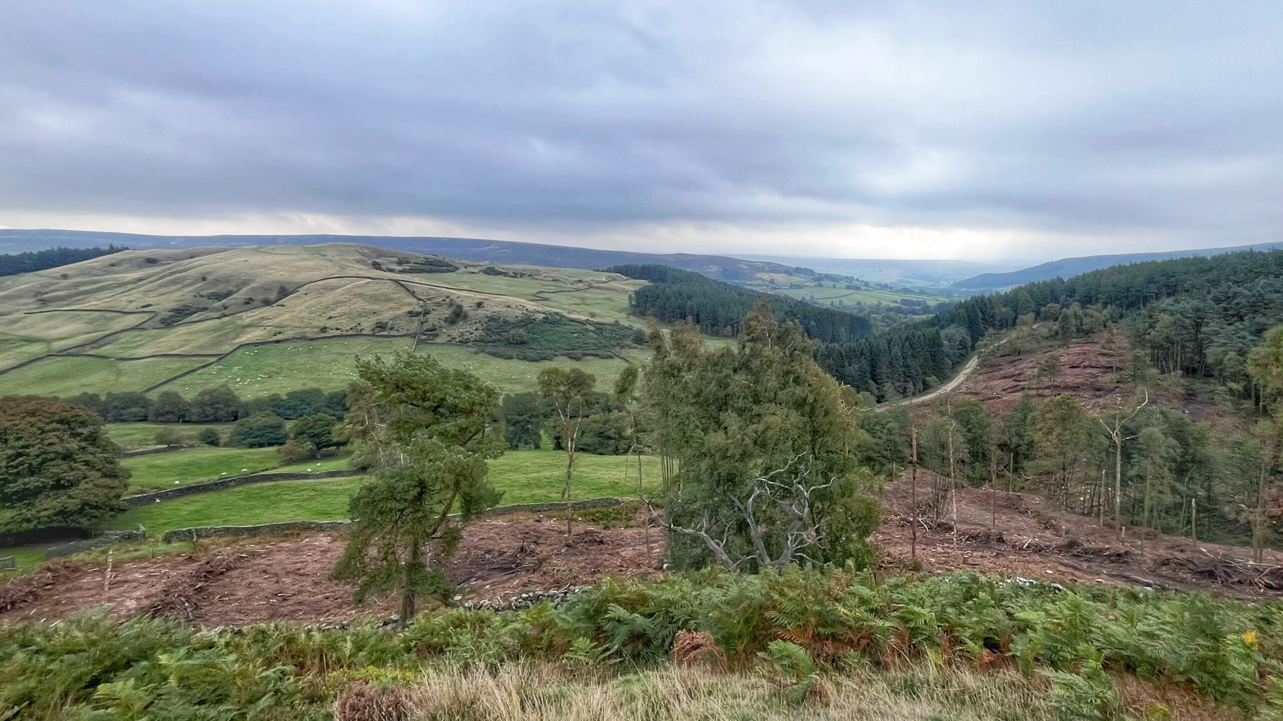 Raisdale and the Ebb and Flow of the Land