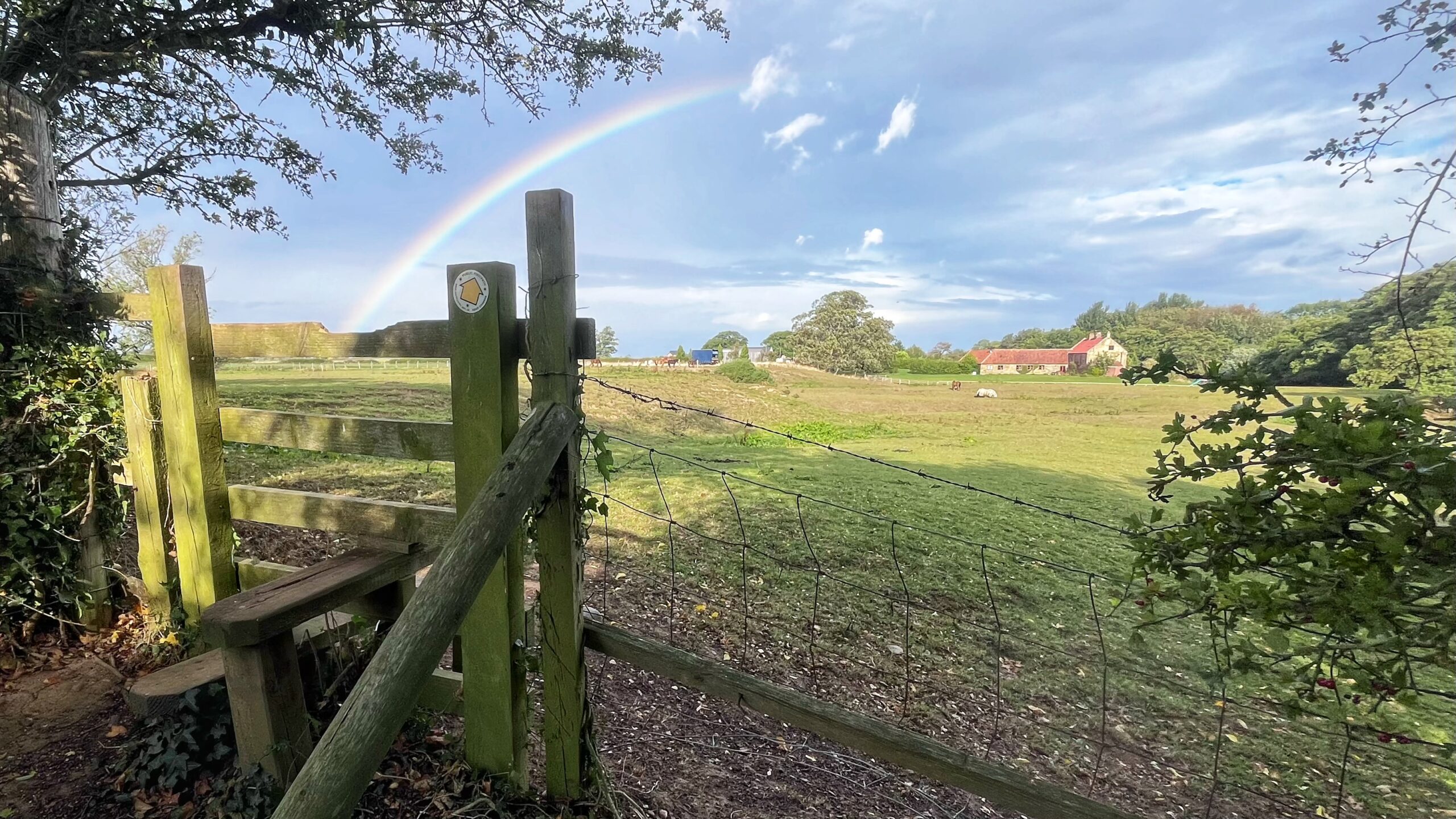 A wooden footpath stile in a hedge, with a rainbow over a field of horses and a red-roofed farmhouse.