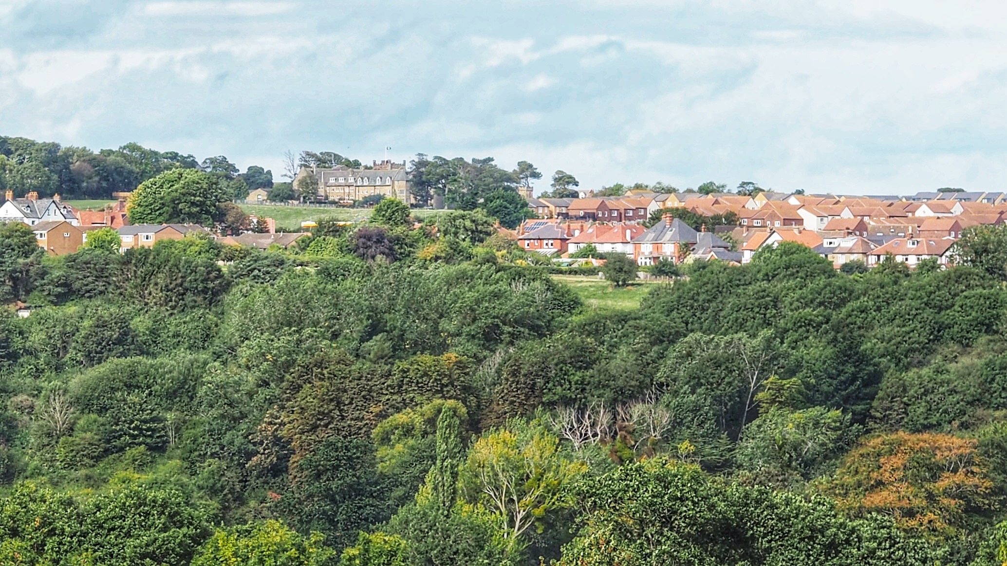 Sneaton Castle From Afar