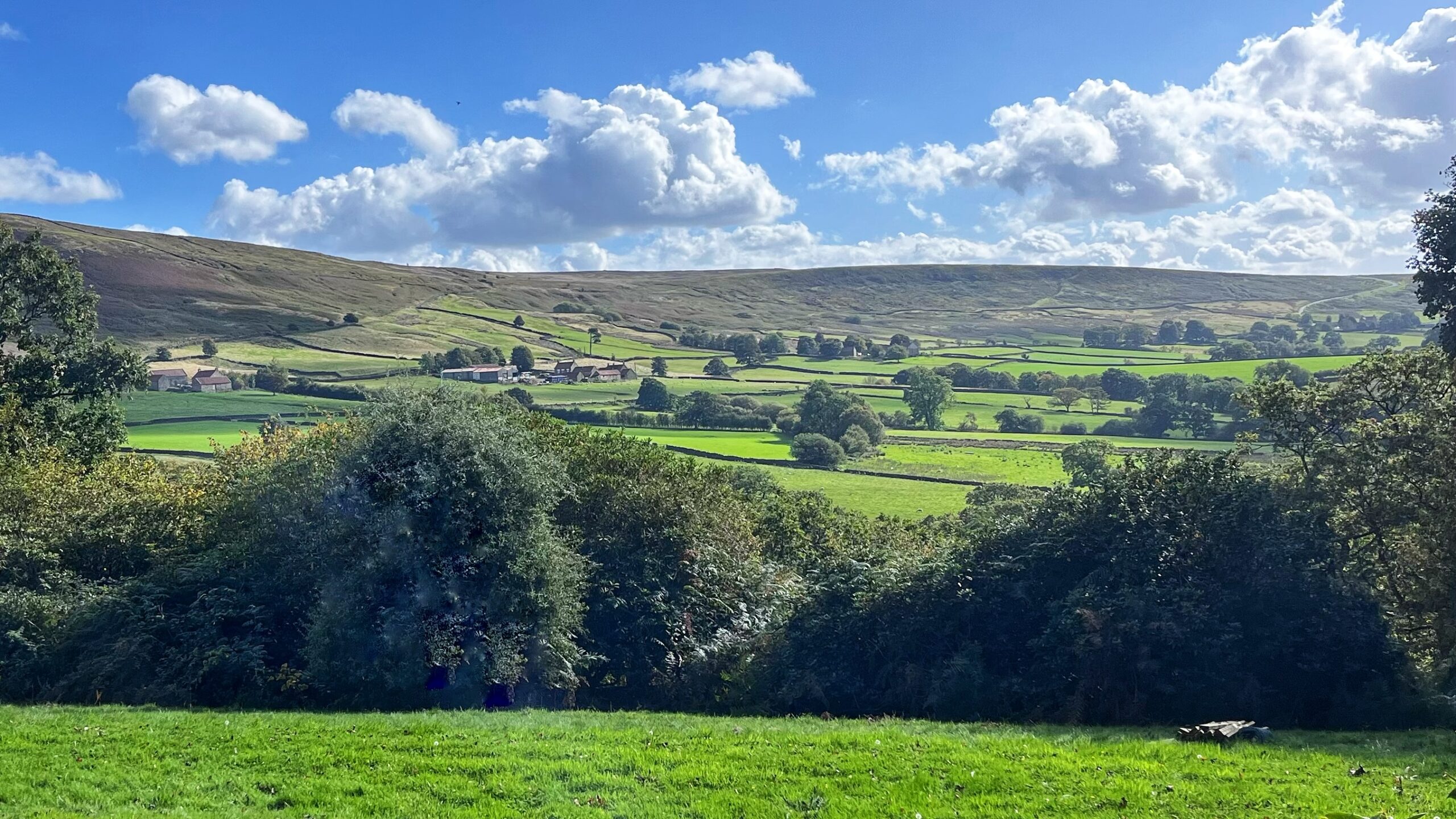 The Dale That Nearly Went Back to Bracken