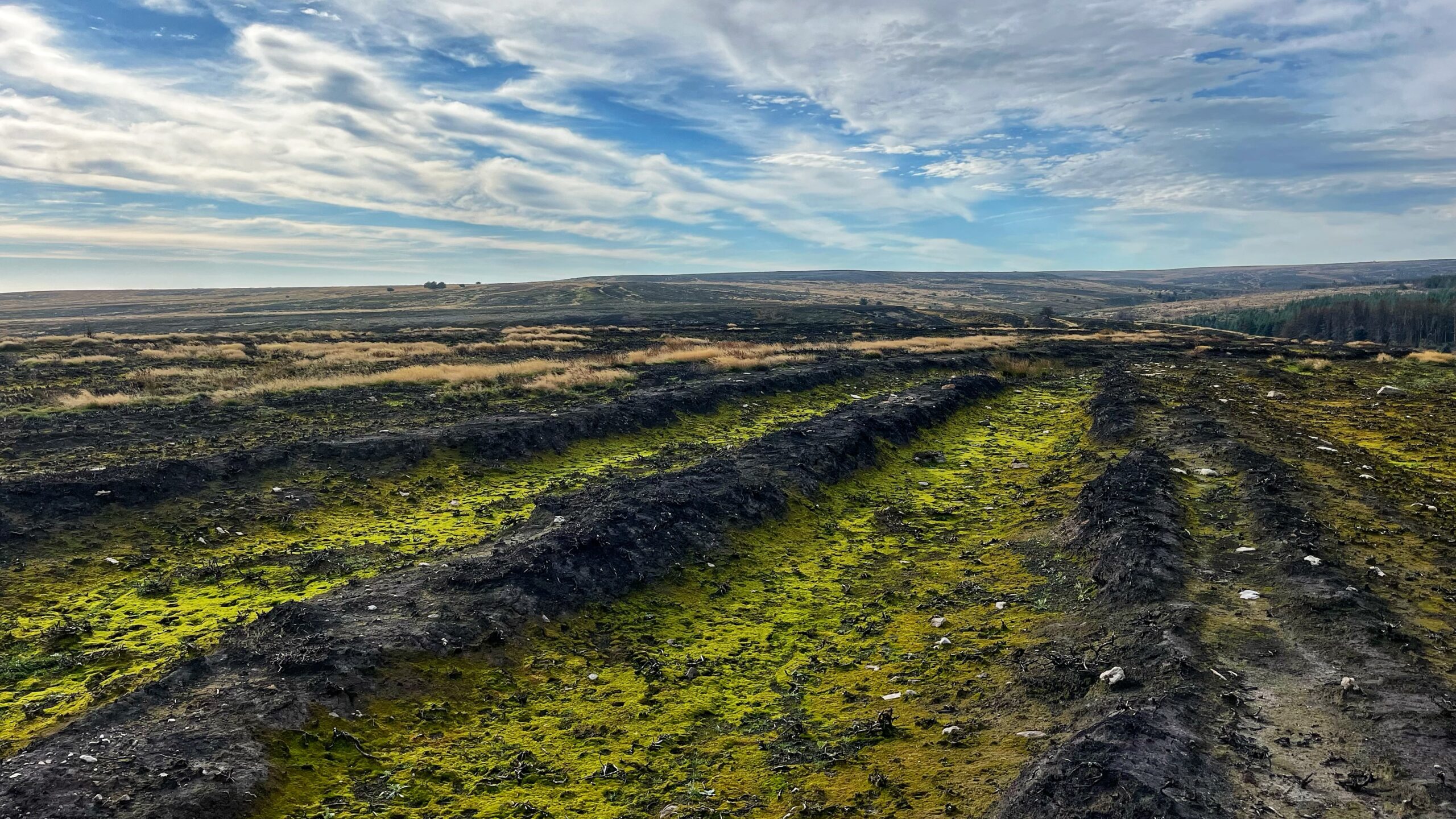 Bombs, Burning, and Blame on Fylingdales Moor