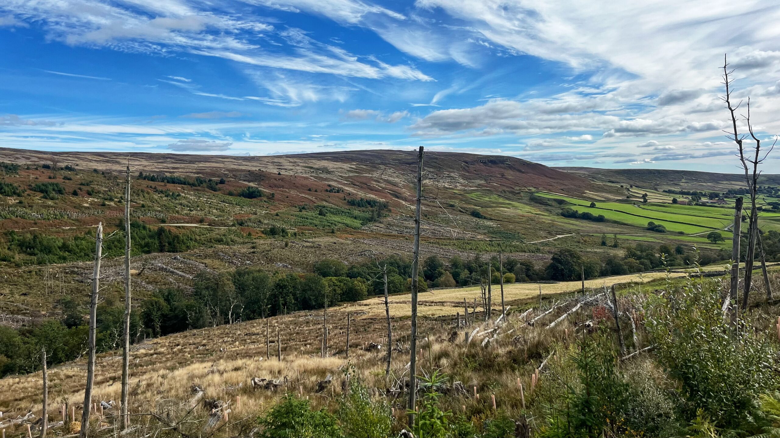 Gimmer Bank Under a Thickening Sky