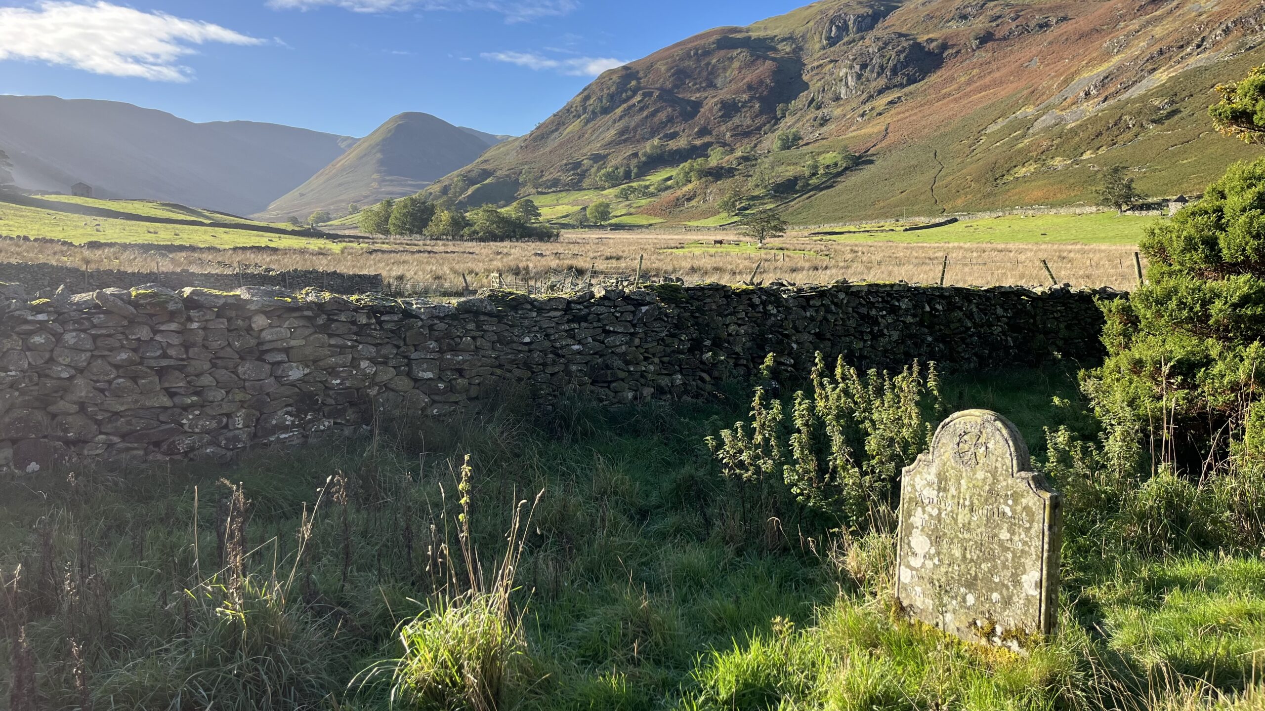 From Bombay to Martindale: The Unlikely Journeys of Andrew Wilson