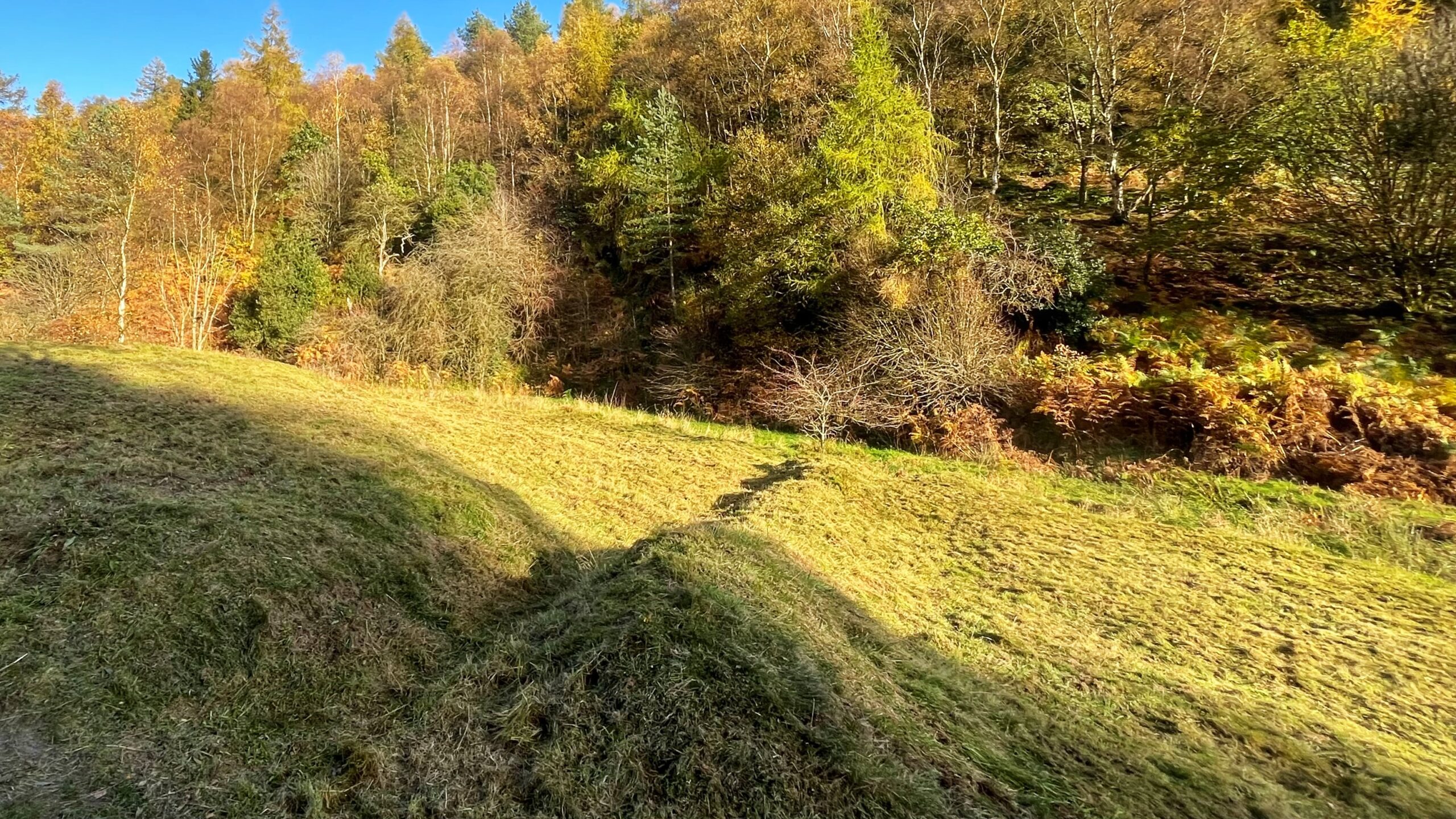 Restoring Dovedale’s Hidden Water Meadow